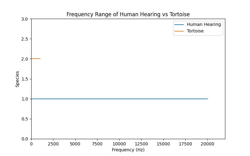 The Truth About Tortoise Hearing: Can They Hear or Are They Deaf?