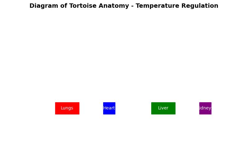 The Ultimate Guide to Understanding Tortoise Temperature Regulation