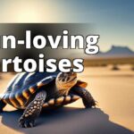 The featured image should be a high-quality photograph of a tortoise basking in the sun with its leg