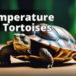 The featured image should show a tortoise in its habitat
